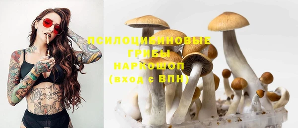 спайс Майский