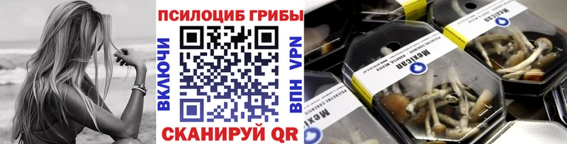 Галлюциногенные грибы Psilocybine cubensis  как найти закладки  Сясьстрой 